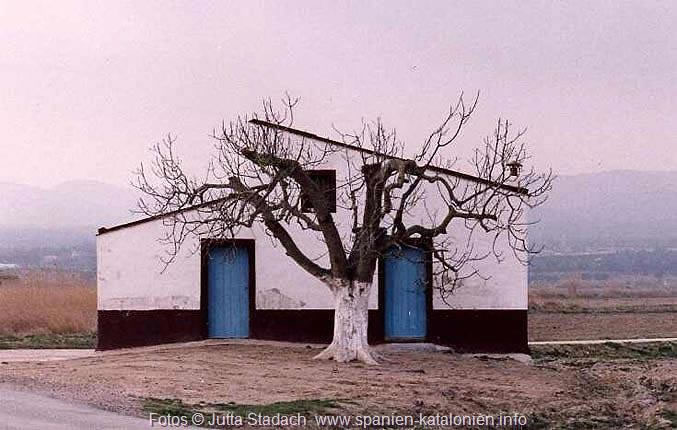 ebrodelta farmhütte