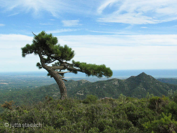 12_priorat.jpg