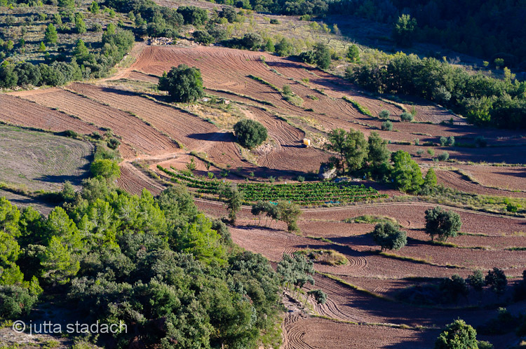 Landschaftsbild Priorat