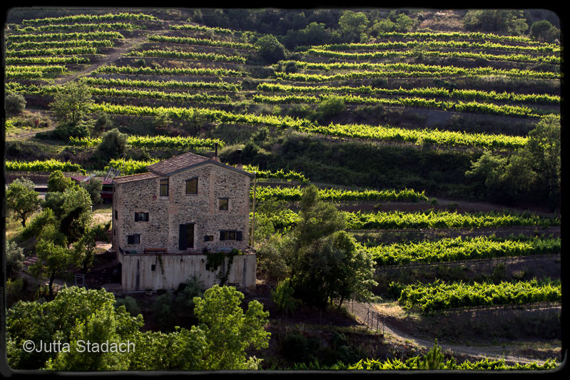 Landschaftsbild Priorat Katalonien.jpg