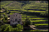 22_priorat.jpg (115kb)