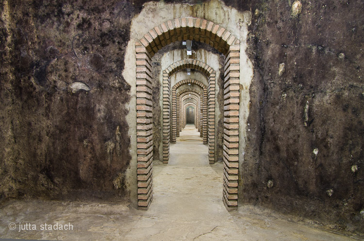 Celler El Masroig 