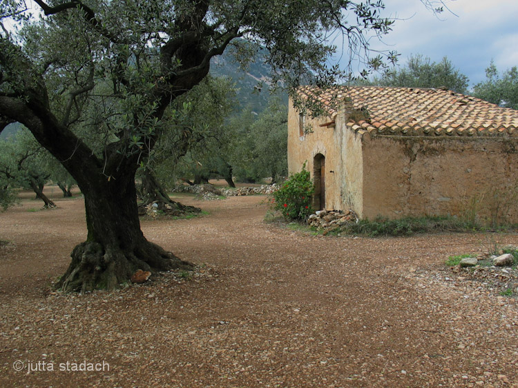 Els Ports - Parc Natural dels Ports - Terra Alta