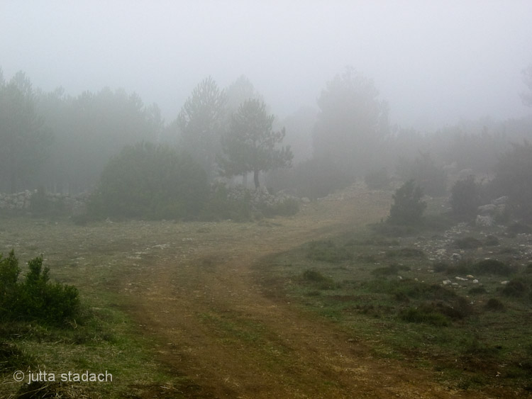 Herbstliche Wanderung in den Höhenlagen bei Fredes