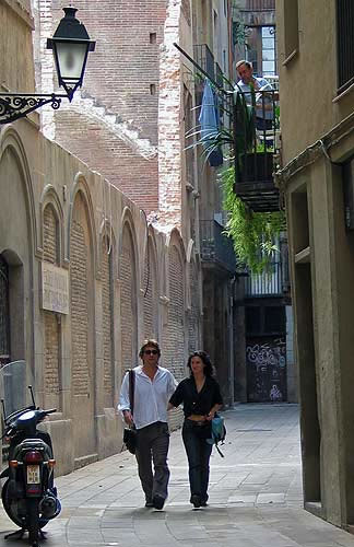 bcn0166.jpg