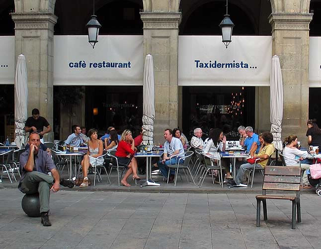 Cafè Taxidermista